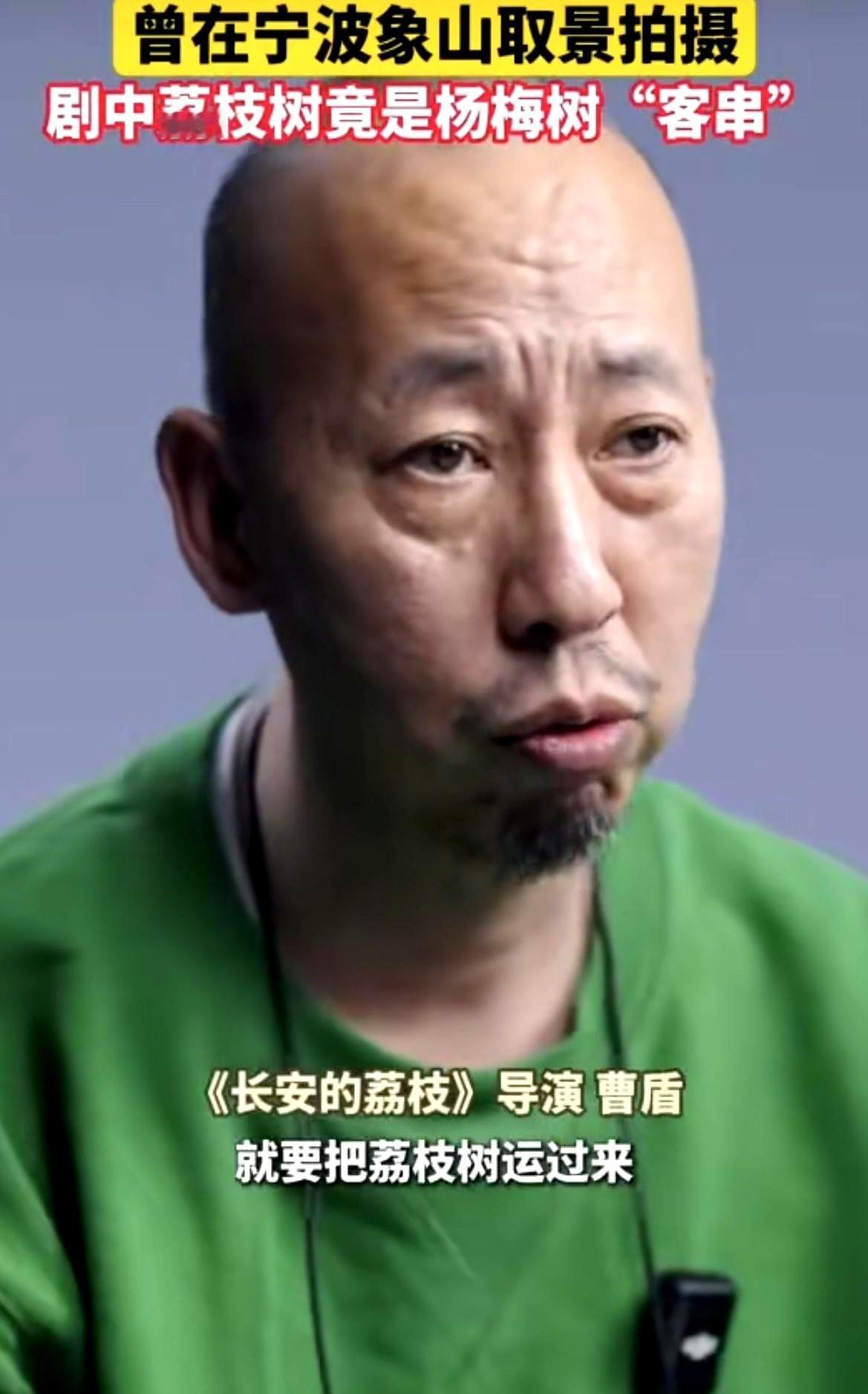 《长安的荔枝》又出问题了！导演曹盾亲自承认，如果要拍荔枝树，就需要将荔枝树运