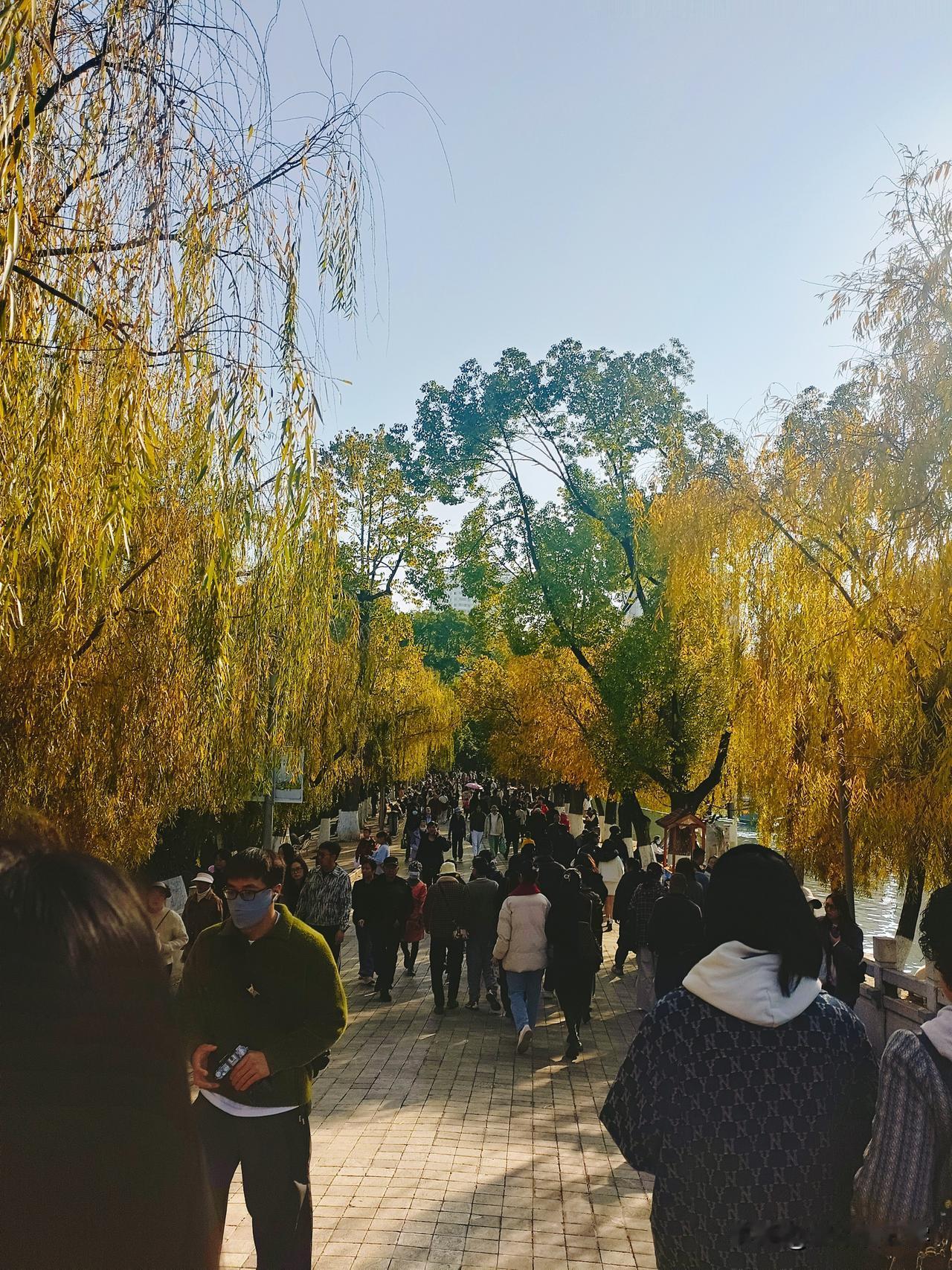 我才发现奉劝大家千万不要停社保！我二姨今年58岁了，之前交了10年社保，后来