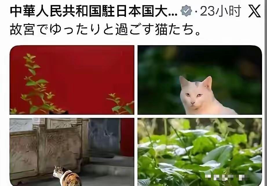 日本驻华大使馆又出幺蛾子了。就在中日关系日趋紧张的今天，驻华的日本大使馆发布了