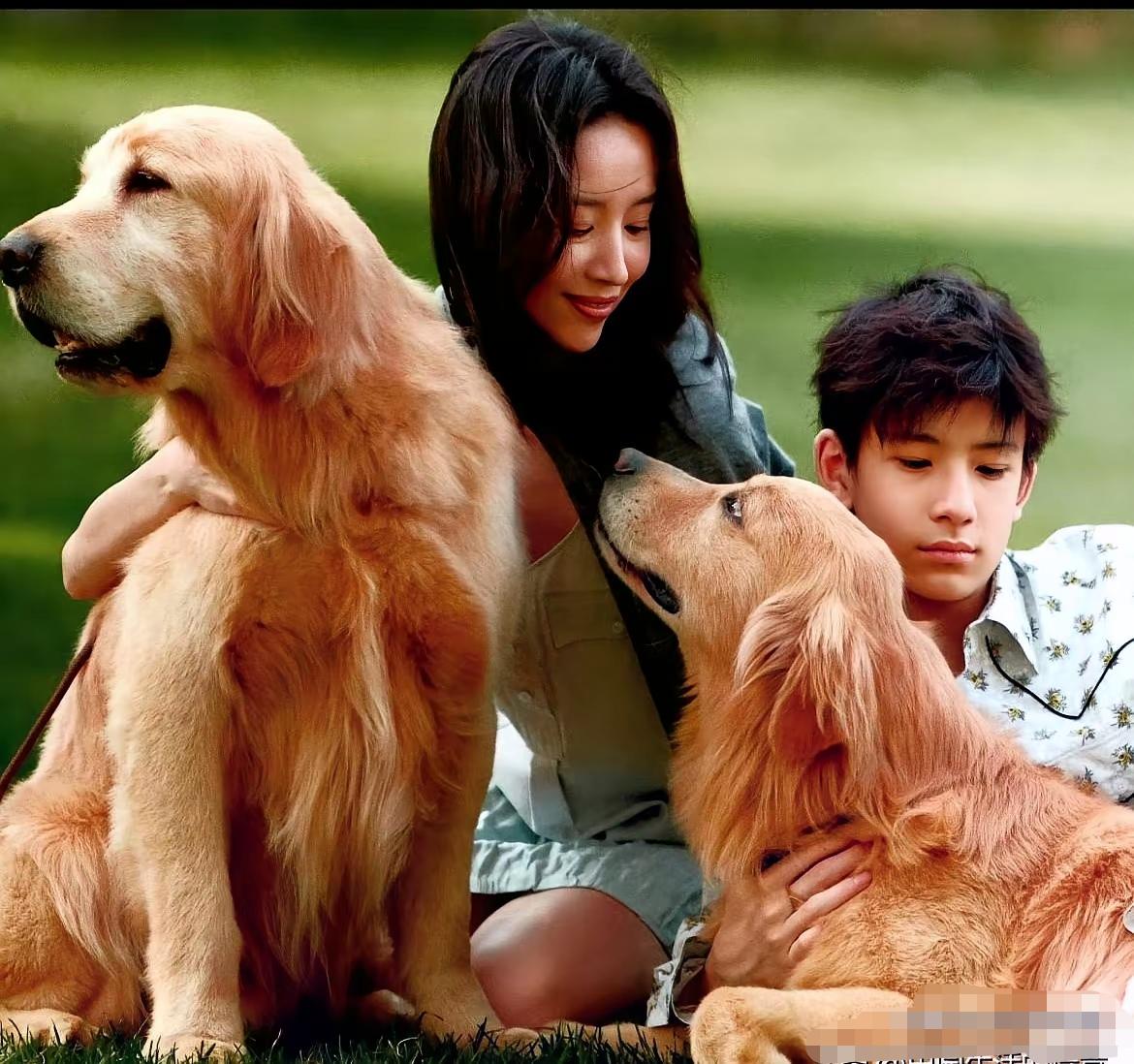 董洁这段访谈，算是把“为孩子”这三个字的复杂掰开了给人看。顶顶17岁，一米