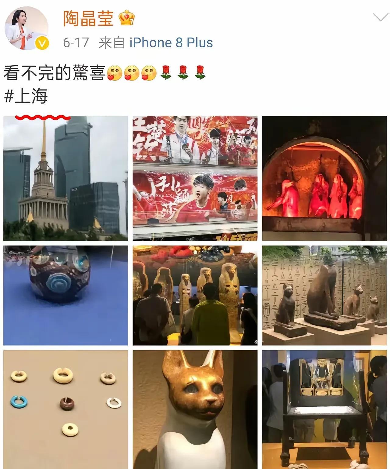 陶晶莹，回到上海打卡并发文称：“上海，看不完的惊喜。”但评论区却沦陷了，最后只