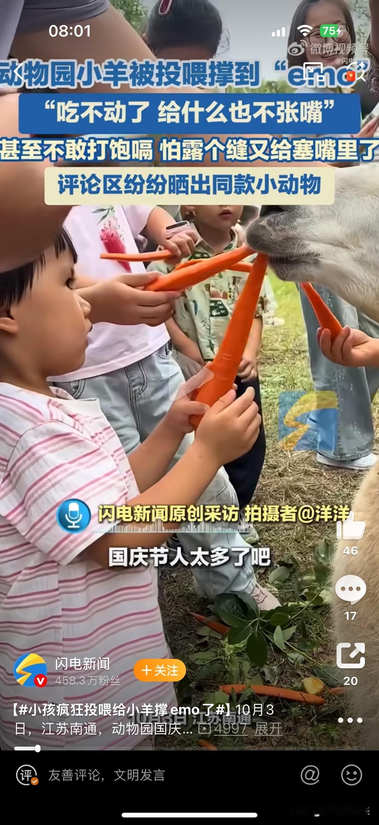 今年国庆、中秋双假合一，人们旅游的热情，动物园的动物们感受最深！[捂脸哭]这
