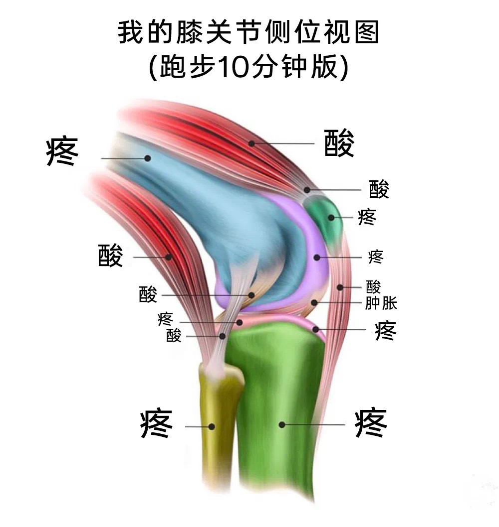 我讨厌跑步