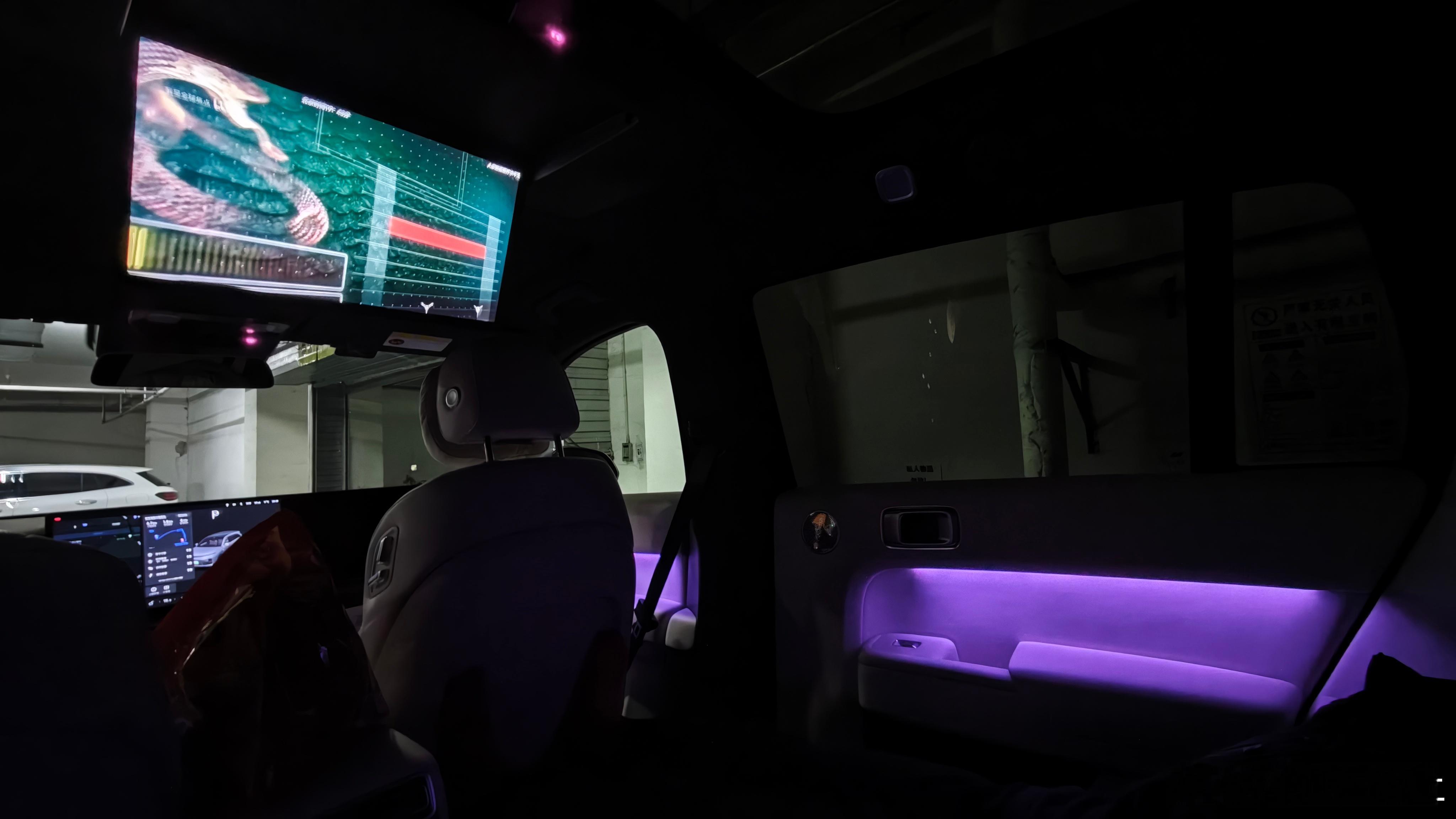 陪孩子在理想L7的二排用零重力座椅躺着看纪录片世界上最致命的蛇这电影院的VIP厢