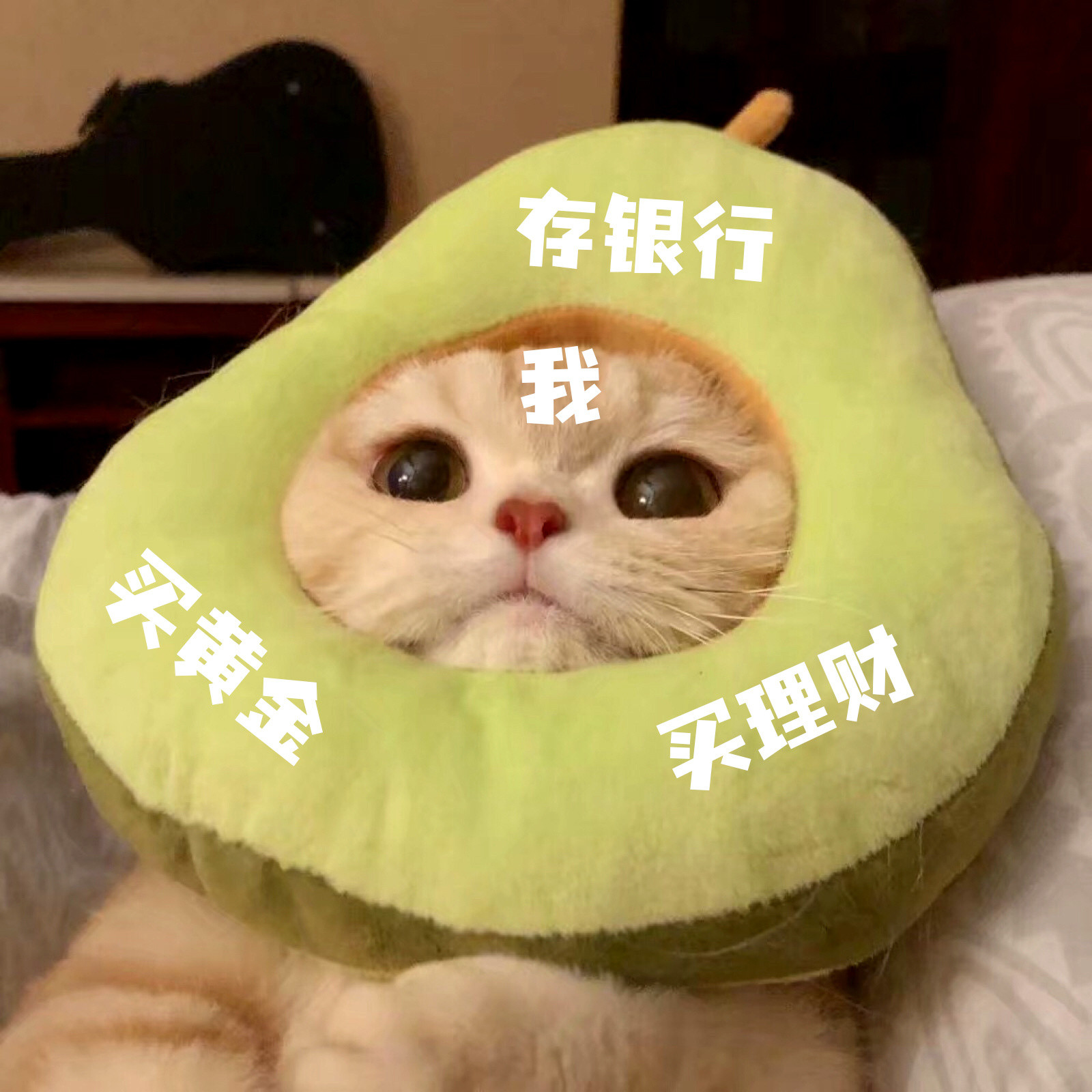 6成年轻人有3种以上存钱方式，所谓兔式存钱，是指大家在理财的时候会分散在不同的平