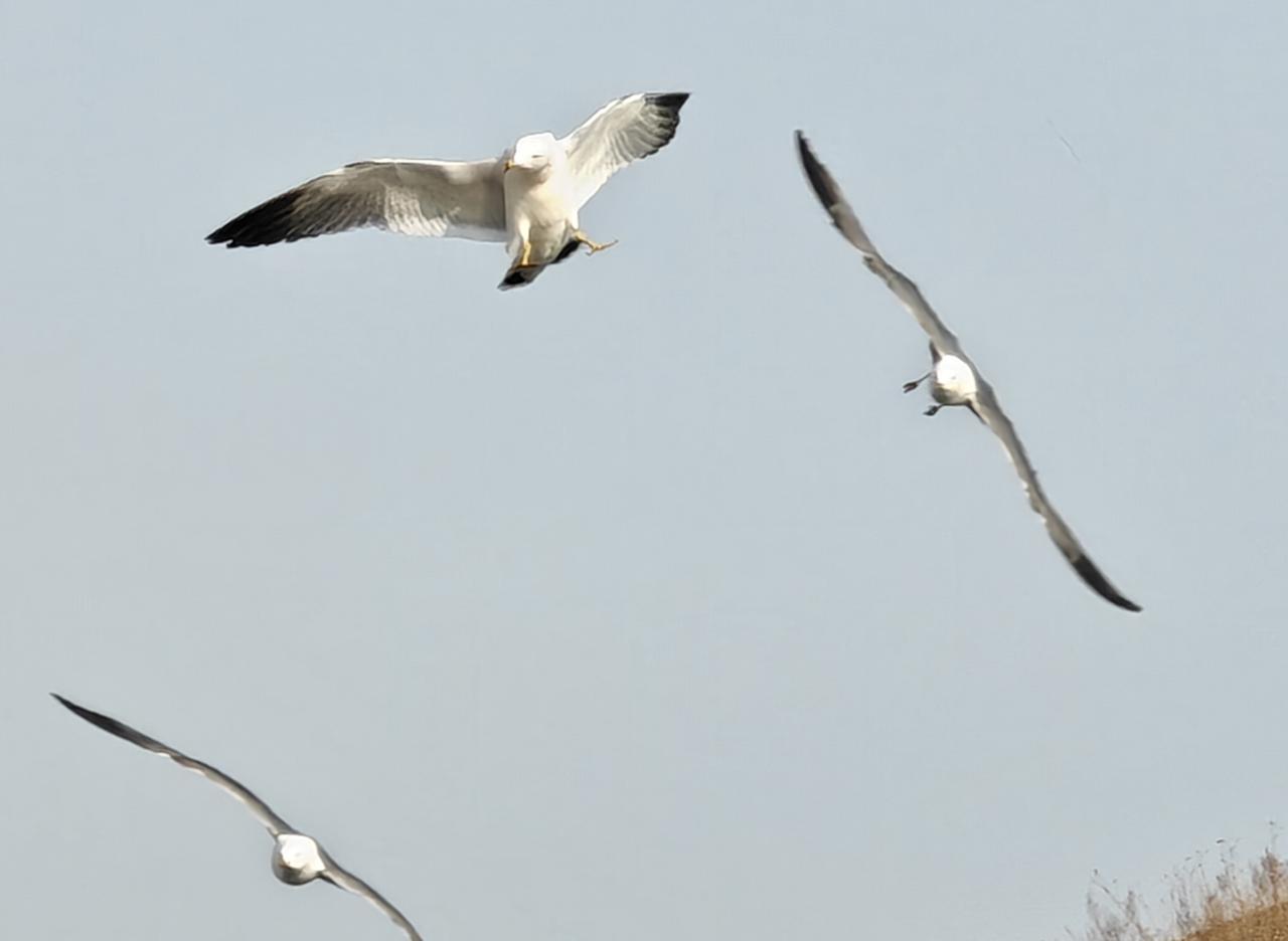 从我个人学英语的经历来看，英语只对考试有用，对生活和工作真的没大用处。我是从初中