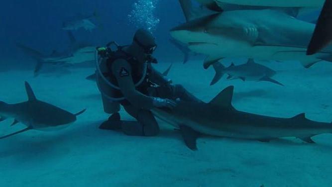 4470750207164671780.jpg?id=0