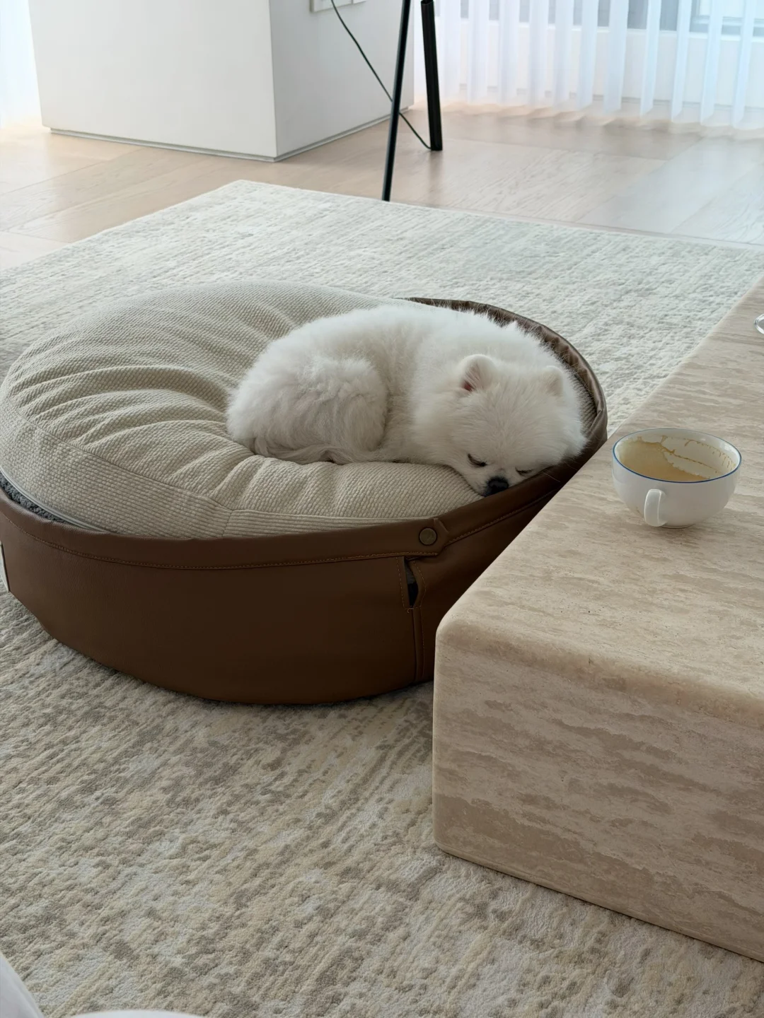 咖啡都扛不住了🥱