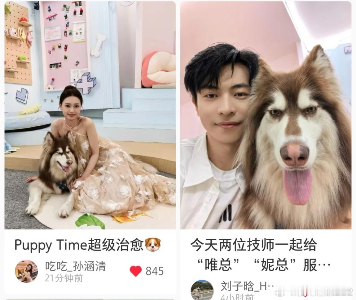 吃吃X子晗心动的信号8怎么会没有缘分呢连名字横念竖念都是你:子晗涵清心动的信号