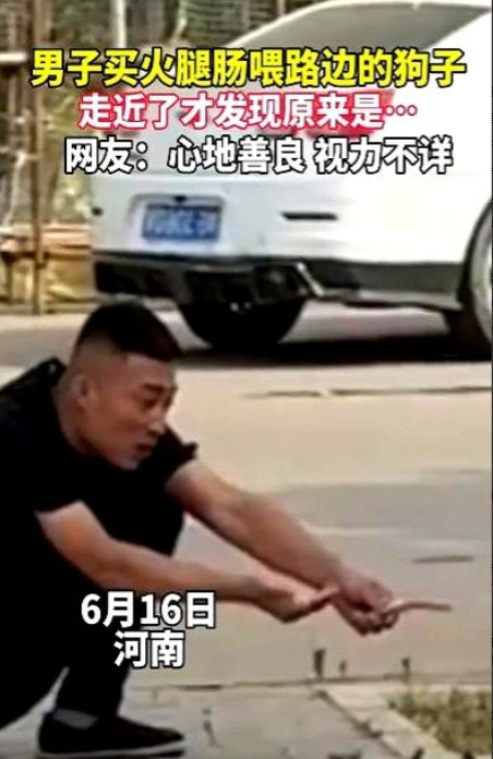 “笑不活了！”6月16日，河南，一男子买火腿肠喂路边的狗子，然而，不管男子怎么招
