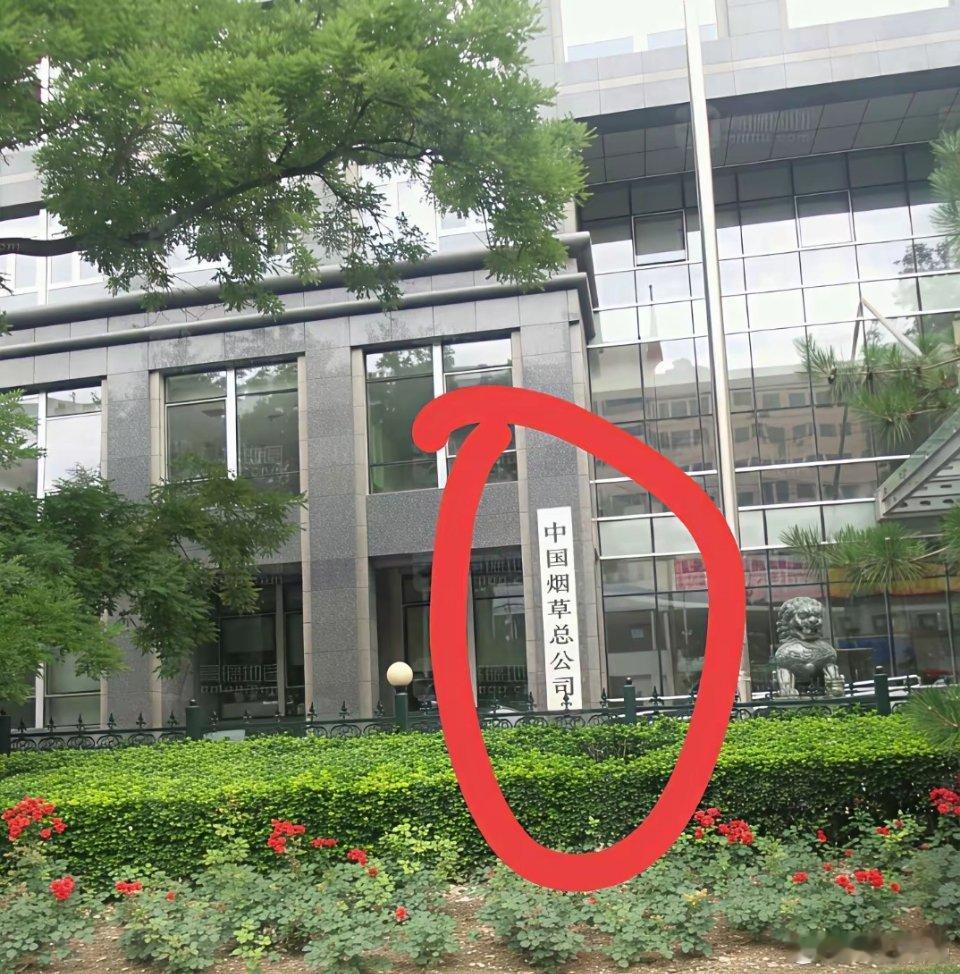 什么学历，什么专业的人才能去这家单位上班？[思考]​​​