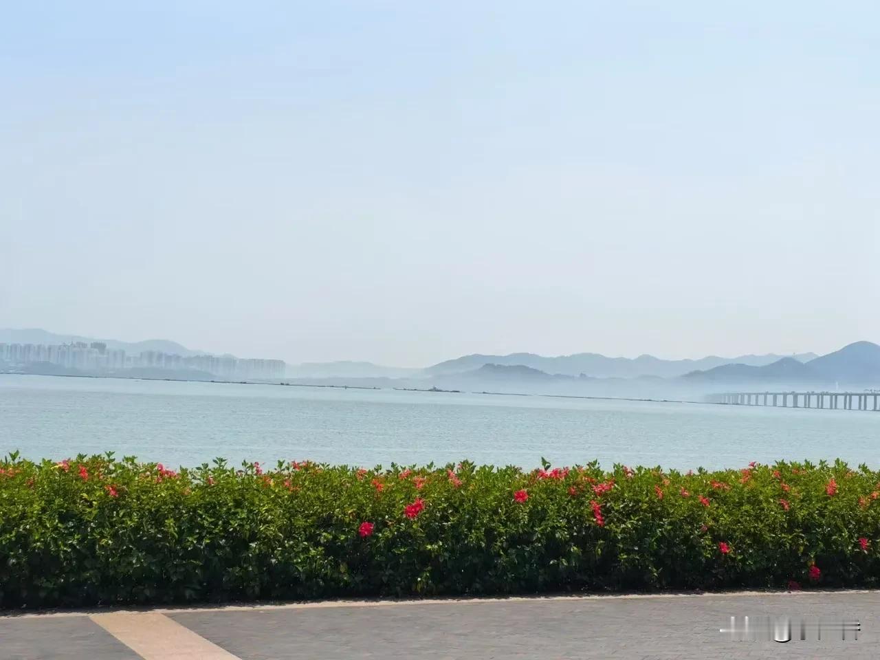 一位高人说:“裤裆一松，天命四散。你以为你在释放？错，你在散功。破阵短命门，阳