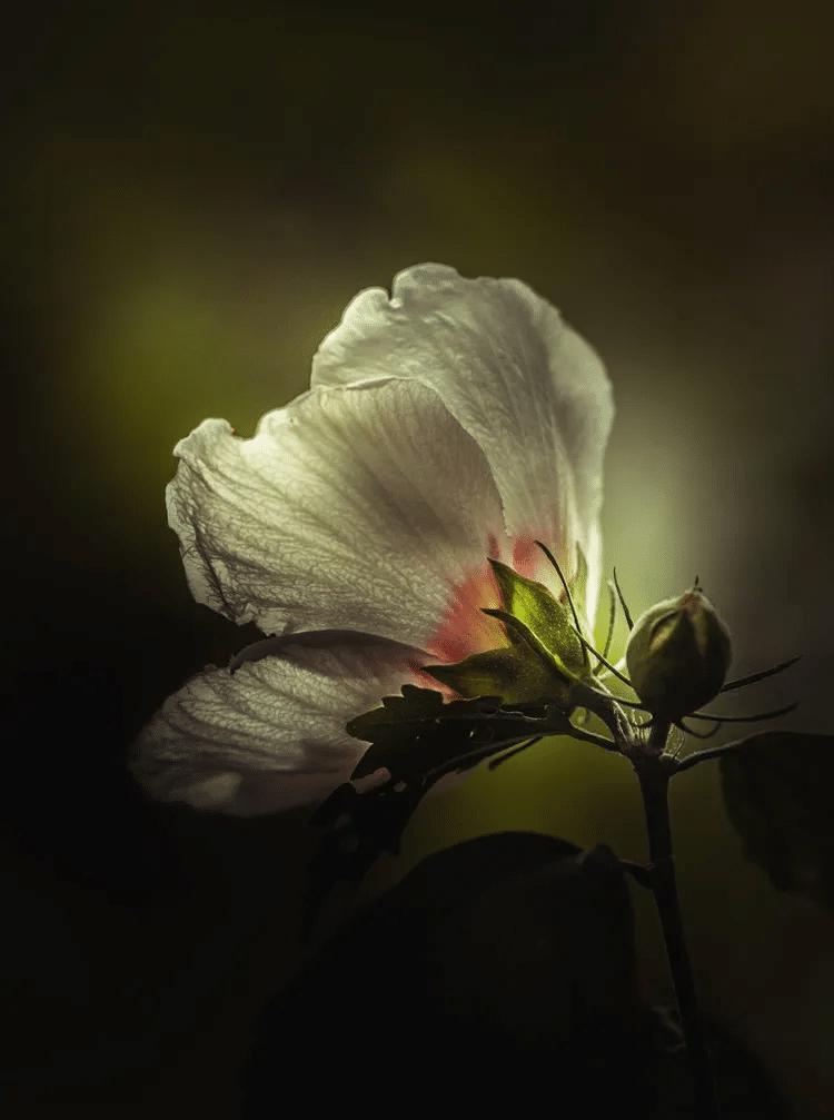 2026降息有戏？费城联储大佬掐准了关键命脉老话常说“经济冷暖，政策先知”，