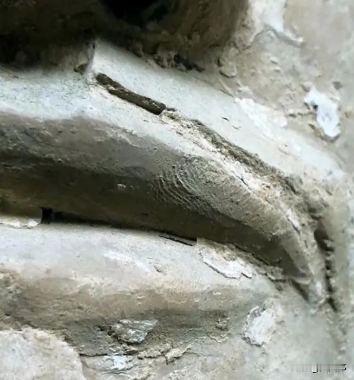 2020年，秦始皇兵马俑博物馆的专属摄影师赵震，在为兵马俑进行拍摄工作时，突然情