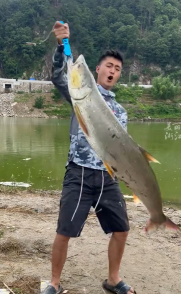 “是我也高兴！”6月10日，浙江丽水，一钓鱼男子像平常一样在桥底下钓鱼，没想到，