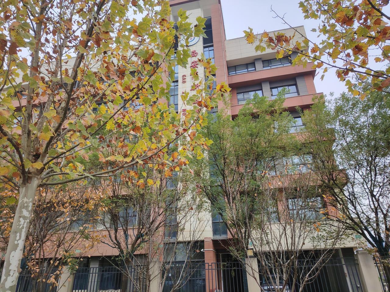 用诗歌诠释《师业图》语文：平仄江山岁月长（语言之美）数学：曲线乾坤逻辑藏（思