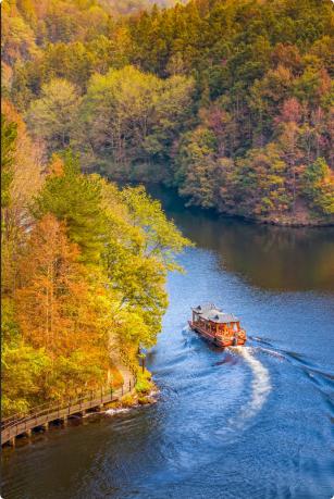 很通透的一段话：“未来几年，先保命。三五年内，世界要大洗牌，你唯一要做的就是护住