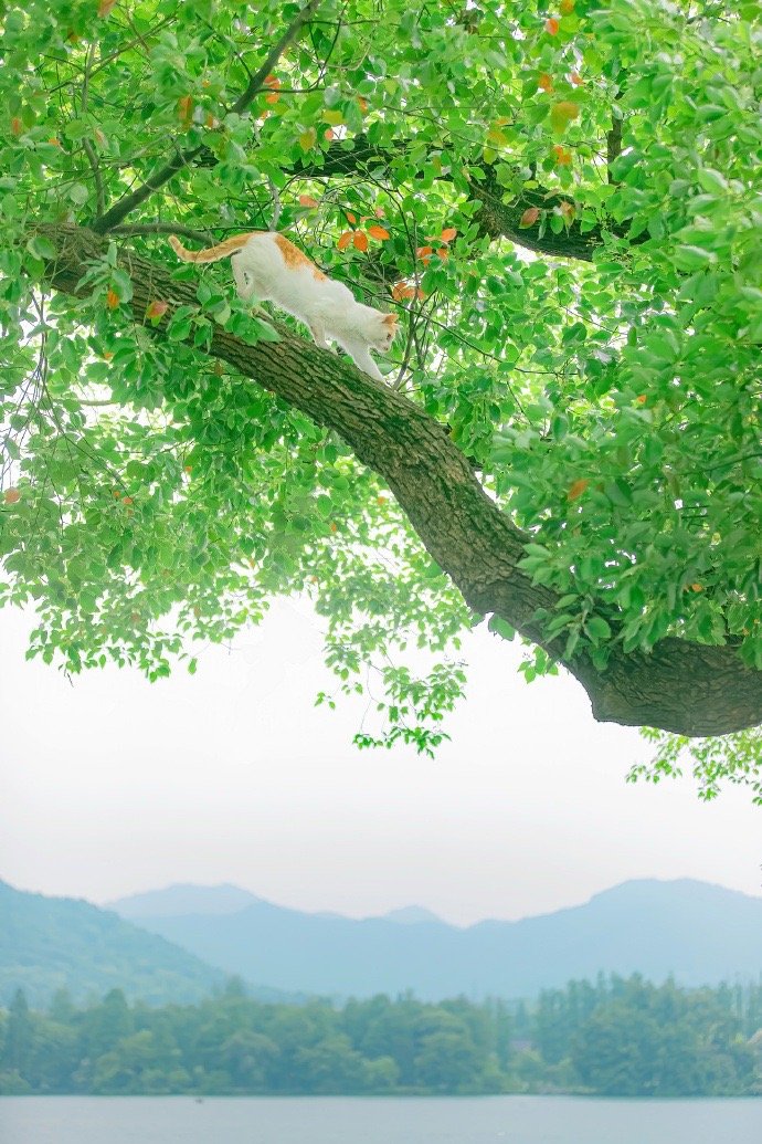 弘一法师：“最强悍的活法，是不把任何事当回事，不把任何人当希望。”