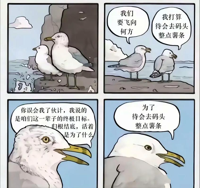 可能找了海鸥当的产品经理