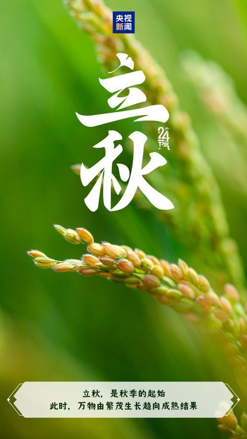 X8/7/六/廿五/多云/吉祥农谚说：①立秋十八日，寸草都结籽。草木渐缓生