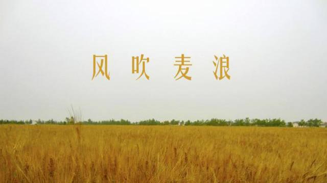 风吹麦浪葫芦丝简谱_风吹麦浪简谱