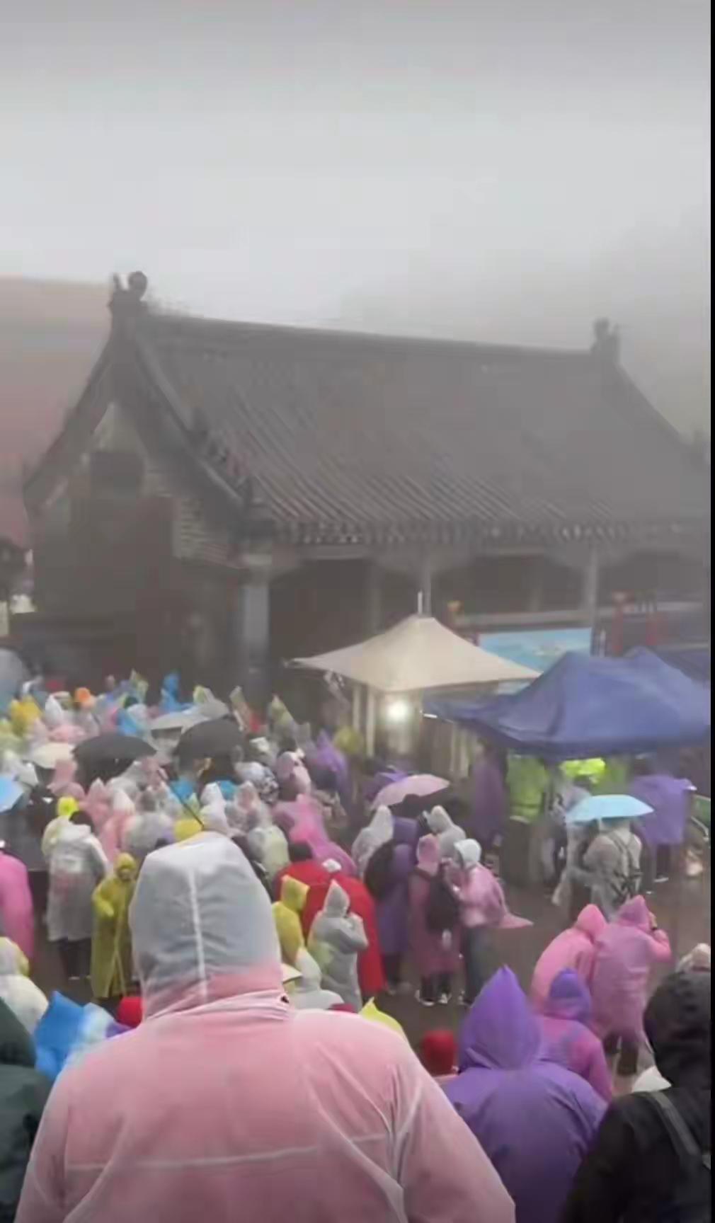 国庆爬泰山，竟在厕所里“团建”？这波操作真的又心酸又好笑！10月1号夜里，