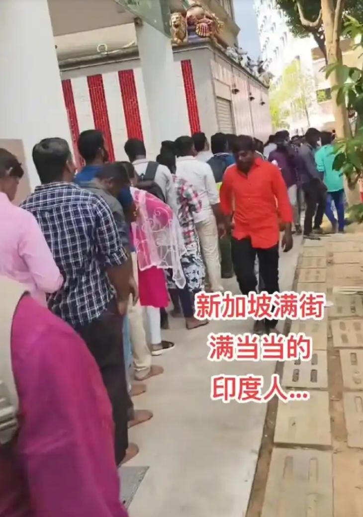 新加坡正在上演一出极其反常的戏码，占了人口绝大多数的华人，天天防着自己人，生怕旁