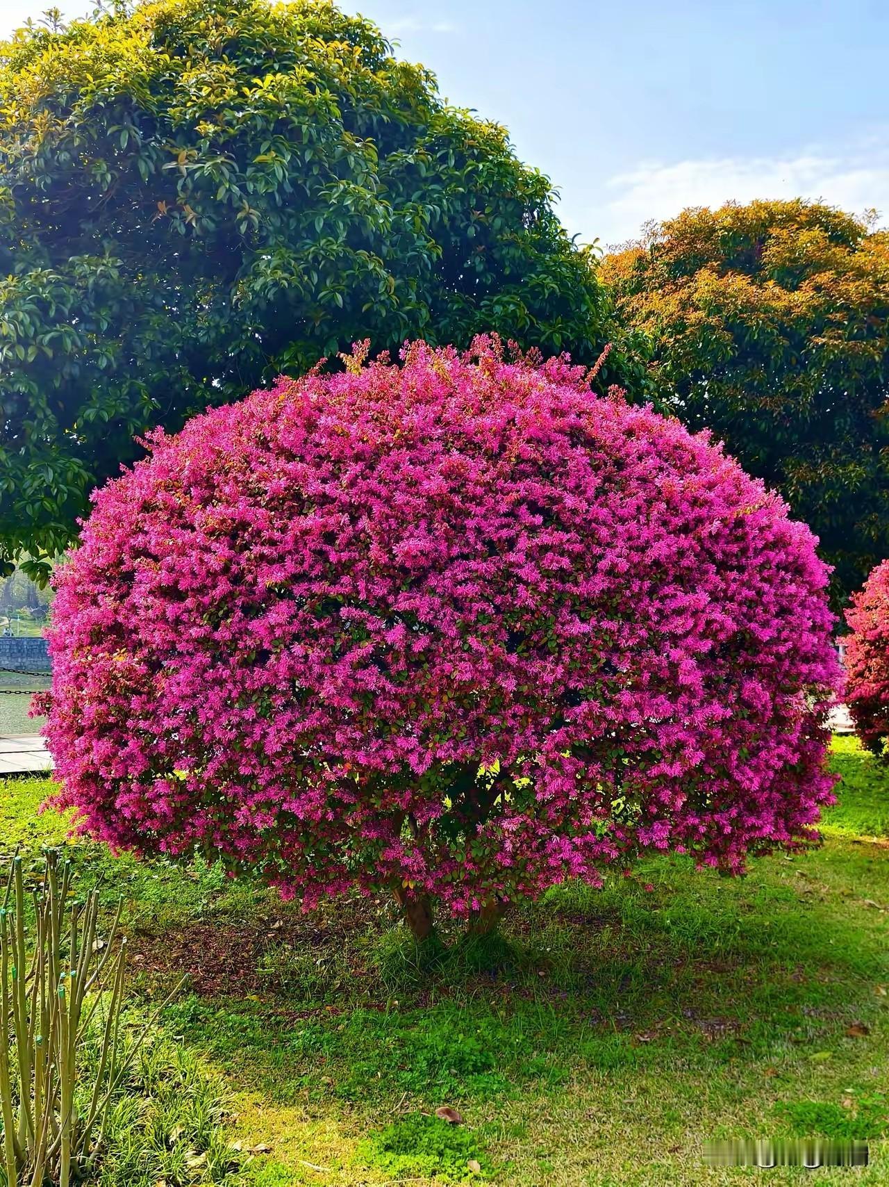 男人该具备的处事能力一、遇事扛事，不逃避-出问题先解决，不抱怨、不