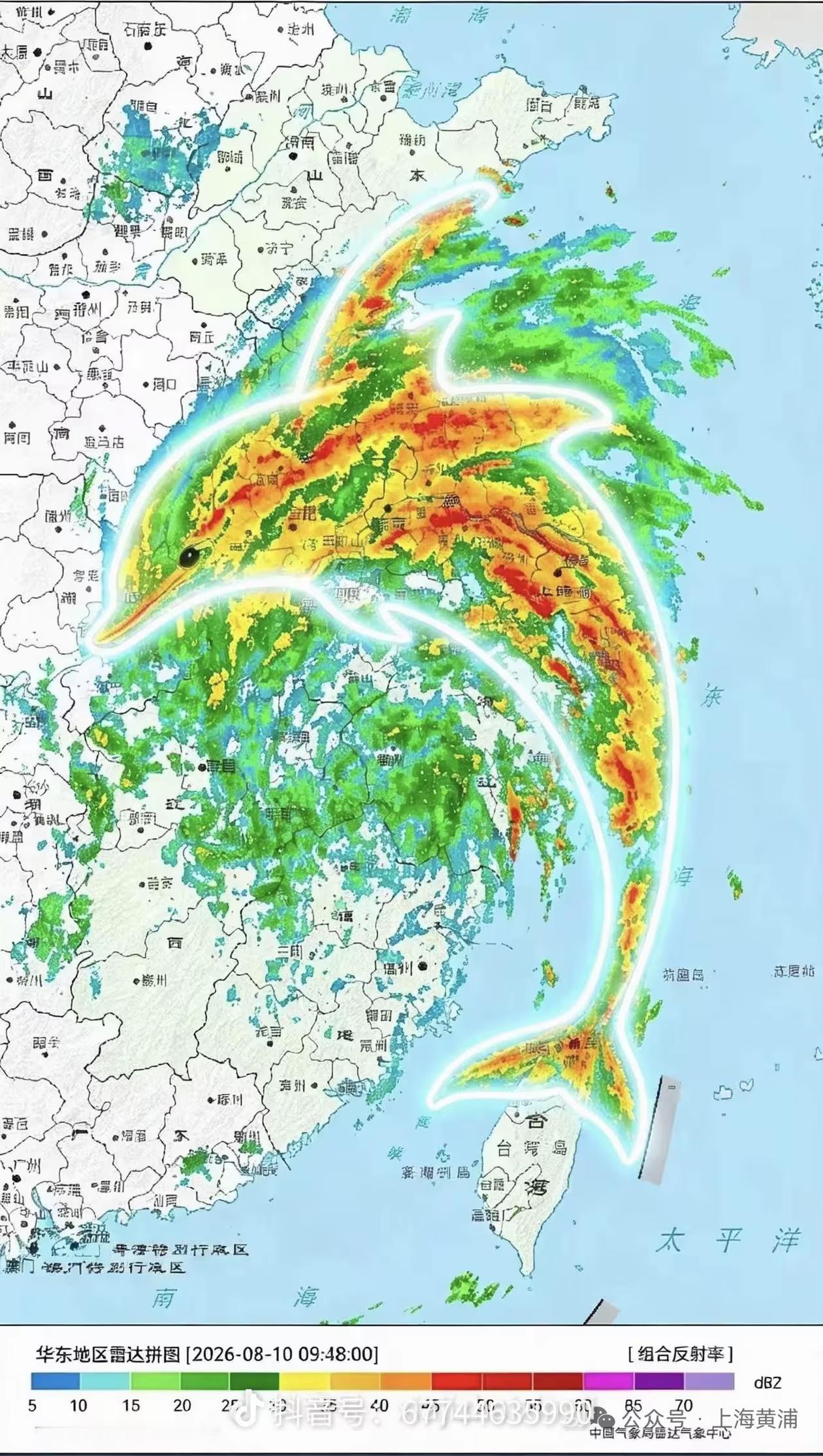 白海豚：这下知道我厉害了吧