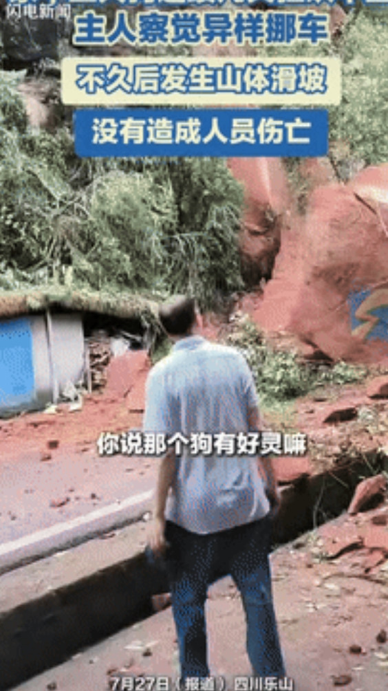 “这狗狗太神了！”四川乐山，三只狗狗连续多日对着停车位置疯狂吠叫，女主人察觉异常