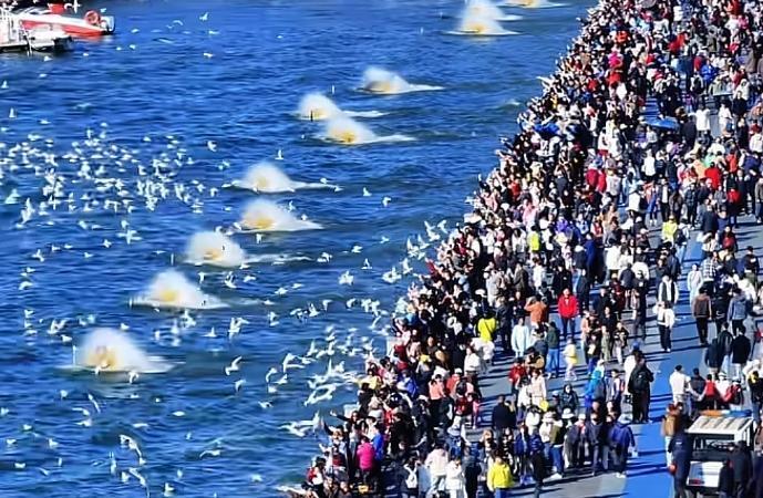 昆明夏无酷暑，冬无严寒，山水相依，风光绝美，真是老天爷赏饭吃的好地方。可冬天一