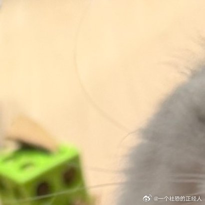 阳光信用日行一善每日一善你好一起保护大自然与社会携手做公益关爱唇腭裂儿童关心