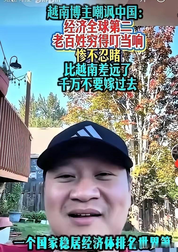 现在国内越吹很多，从政府到经济都吹一遍，越南政府搞个什么改革，就说越南政府高效，