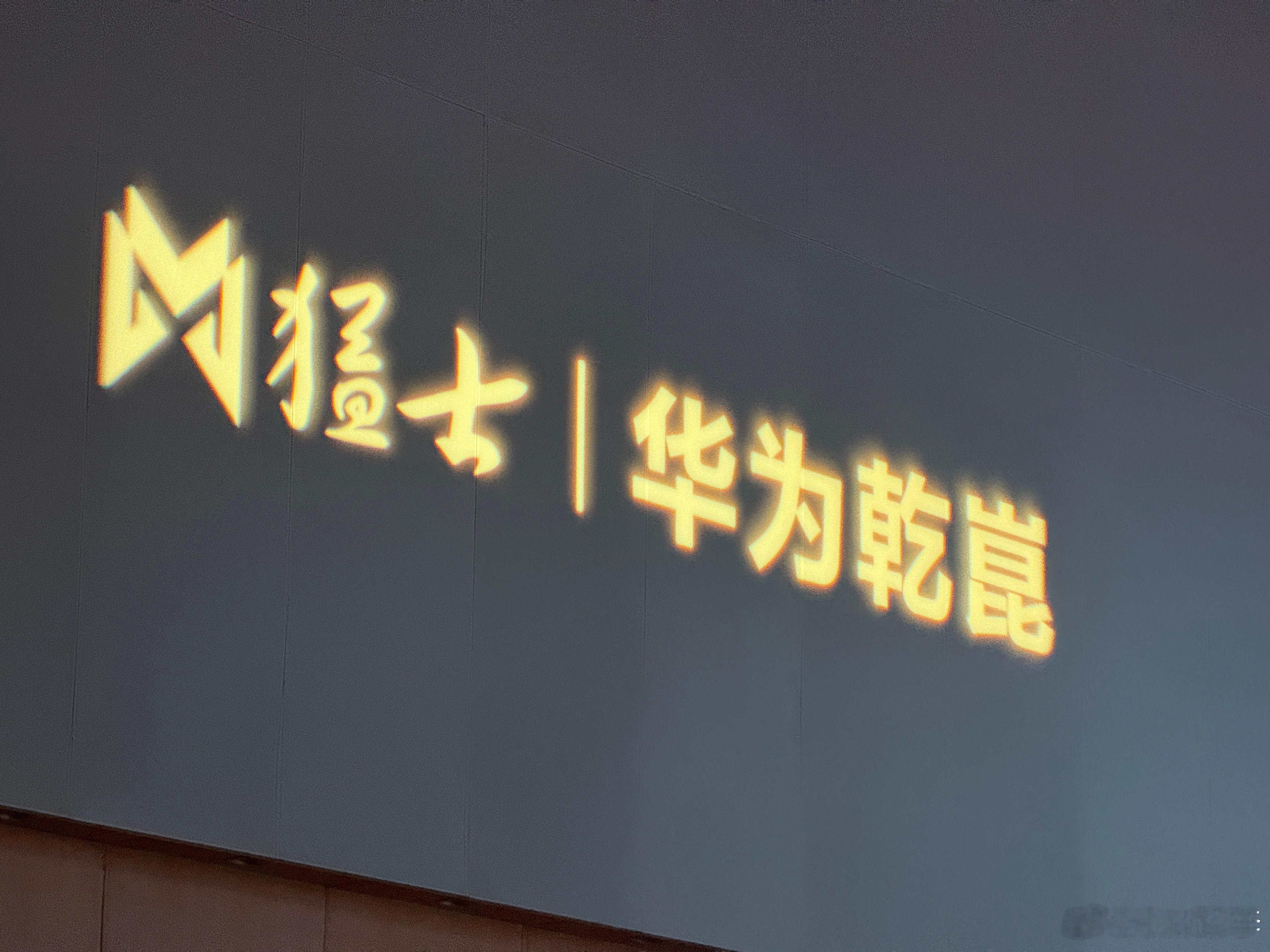 回武汉来参加猛士M817发布会这台车要我形容就是猛士m817越野车里面智驾最好