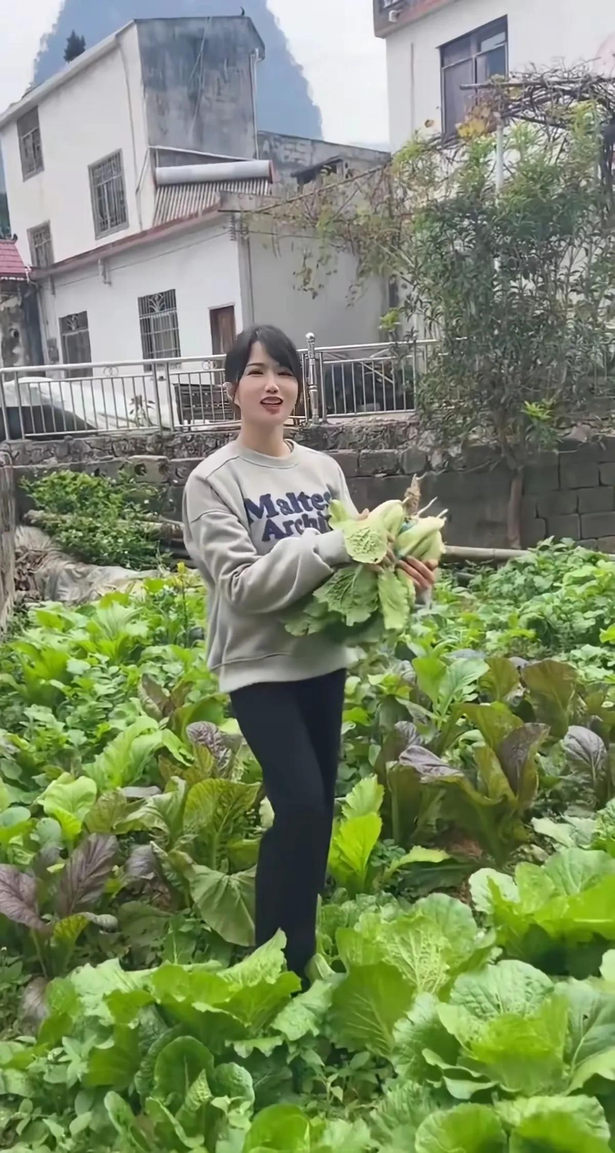 自家种的特别鲜，露珠还在叶上面。炒它不需多放盐，绿色食品心放宽。