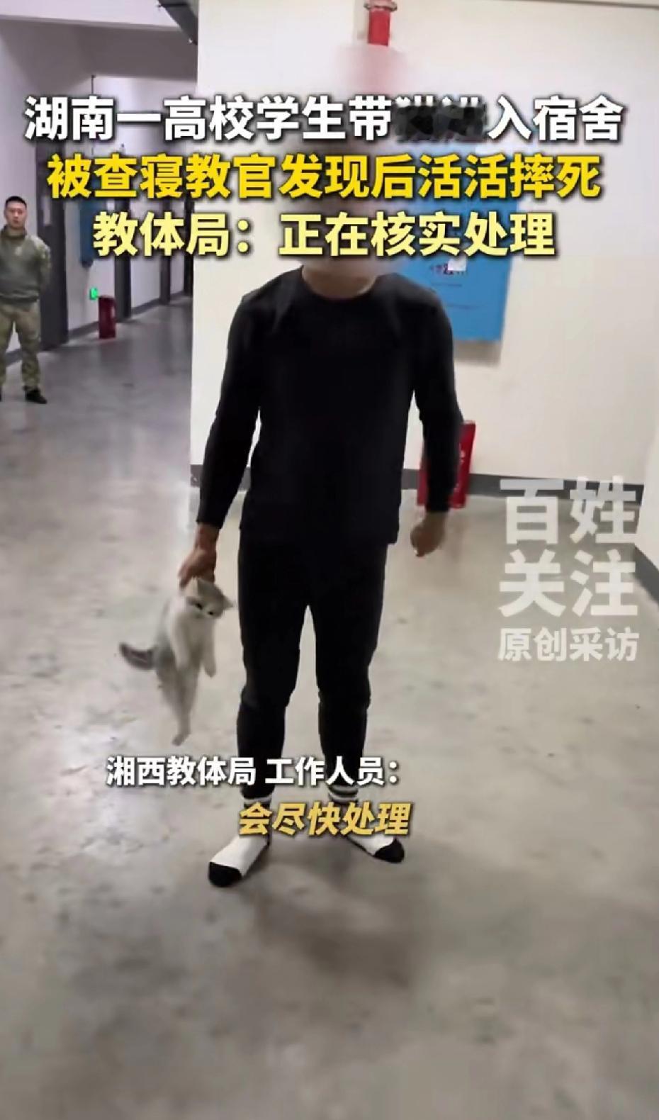 湖南一高校学生带猫进宿舍，被查寑教官活活摔死。可以看出来面对镜头，教官不断重复