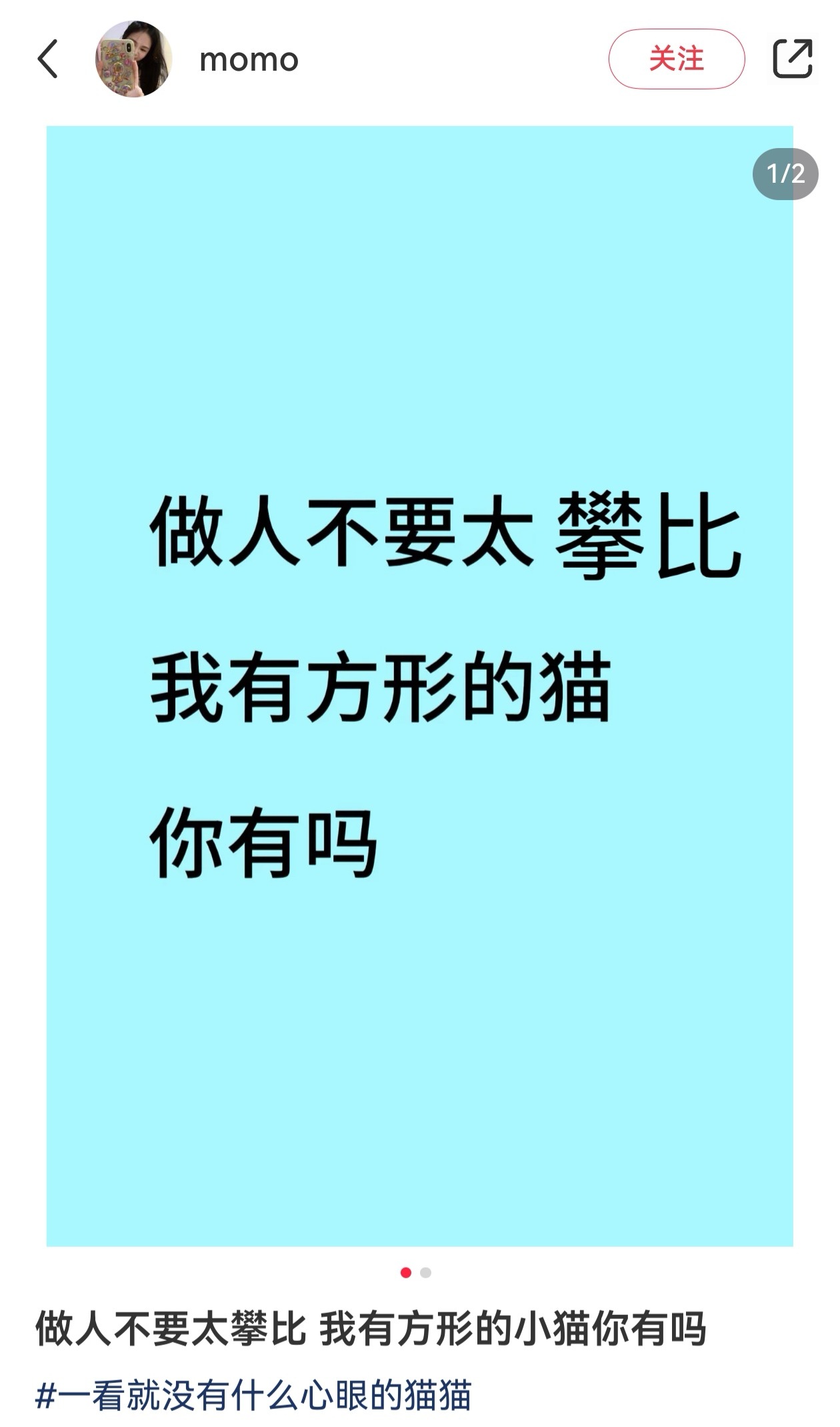 小📕看见的我给截了好多图...长得四四方方的猫咪，你有吗留言不要太离谱，还有五