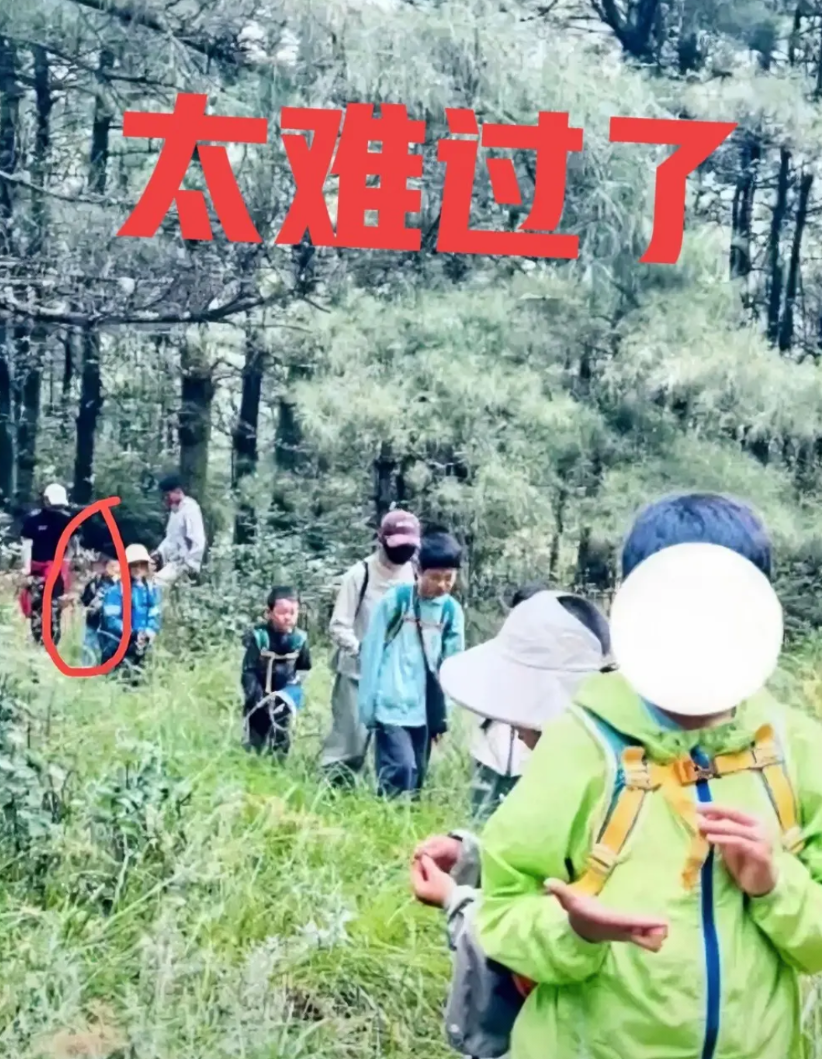 在苍山失踪的8岁小男孩走了，无法想象在这四天里他得有多么的害怕。在荒无人烟的森林