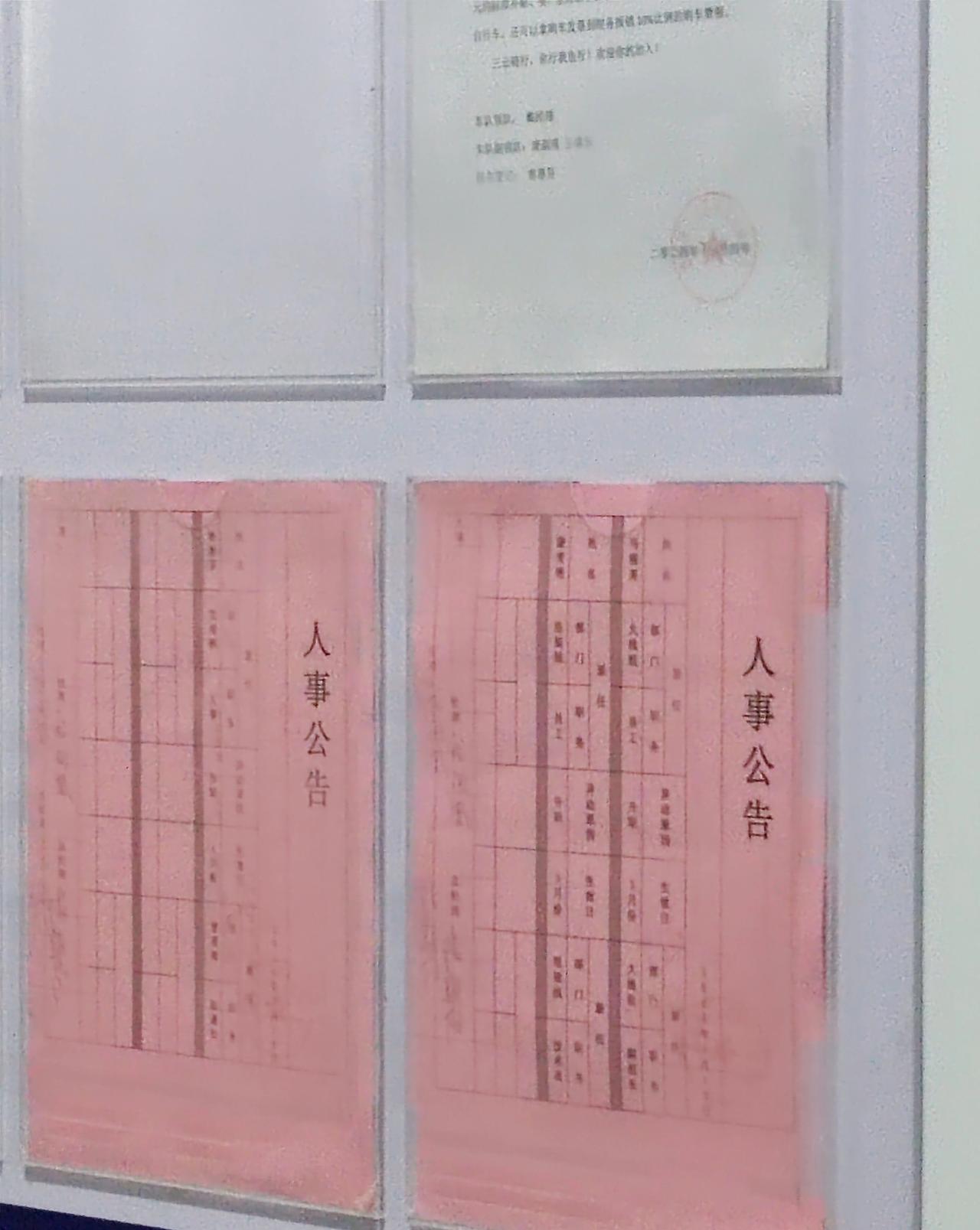 我们公司刚好100人。你猜猜官职有多少？仔细给你算算。1，老板，总经理。