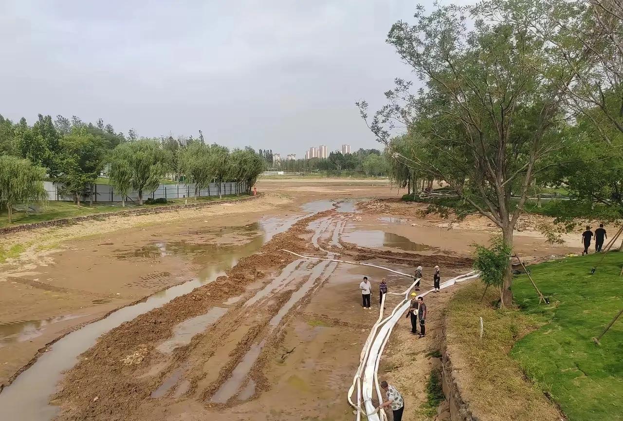 济南高新东区彩虹湖刚建成注满水不久，就要往外抽水了。现场已经安排了水管子往外抽