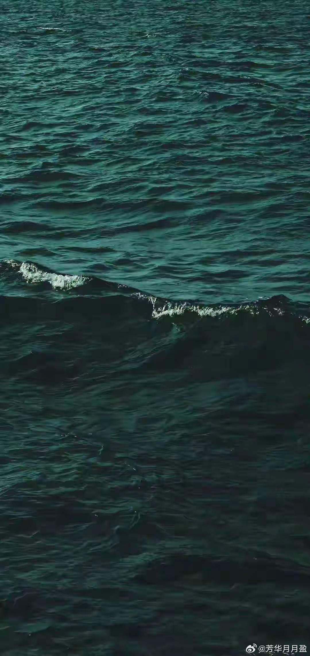 退休老教师说：“现在的家长最大的愚蠢，就是死命托举孩子，非要让泥鳅变成龙。你要明