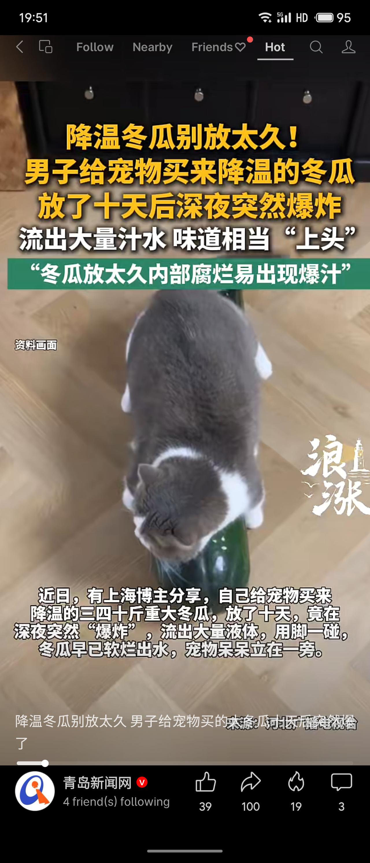 上海一男子为宠物买三四十斤冬瓜降温，放置十天后，深夜冬瓜突然爆炸，流出大量汁水，
