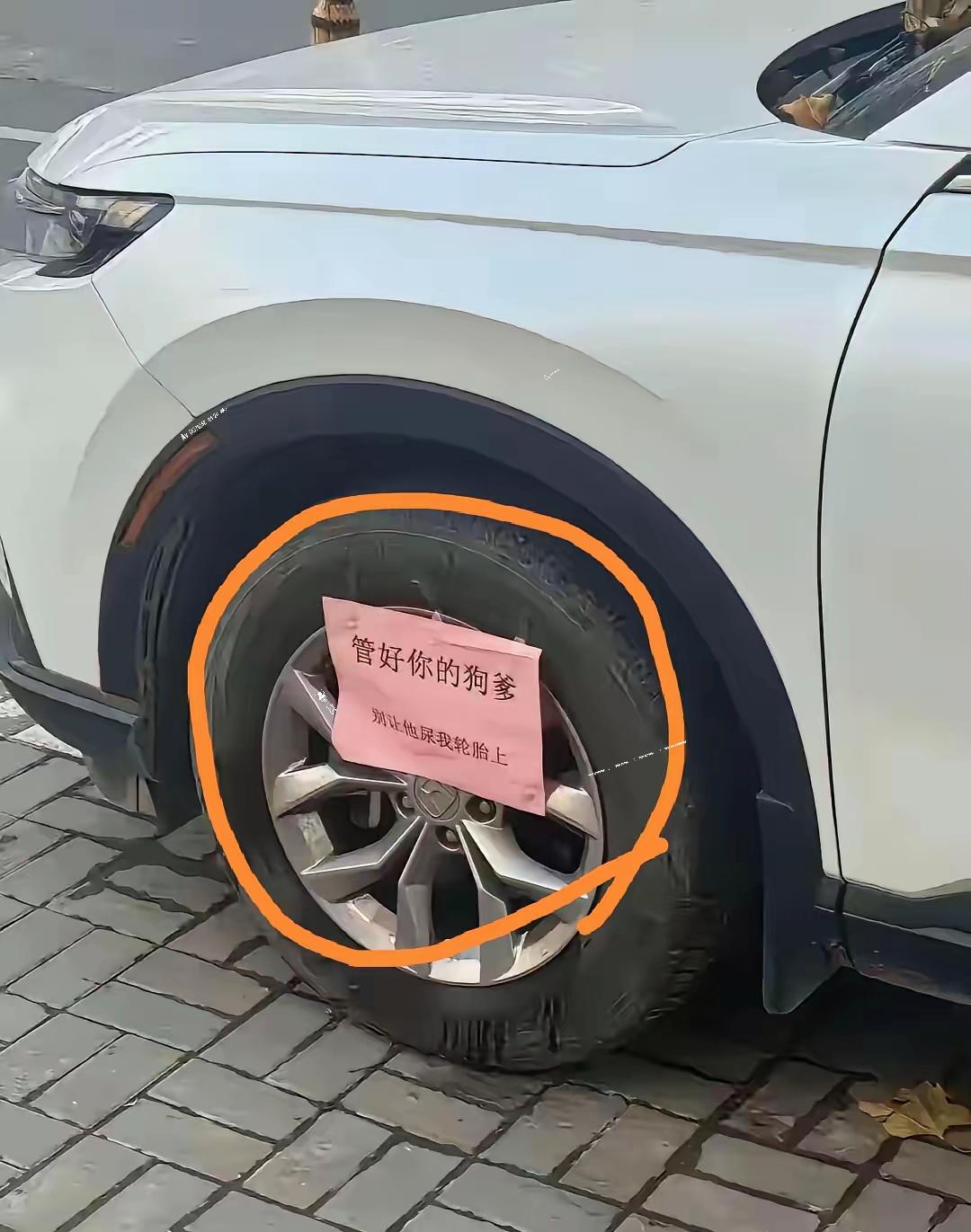 “管好你的狗爹，别让它尿在我的轮胎上”，乍一看到这句话，会觉得这位车主在变相骂人