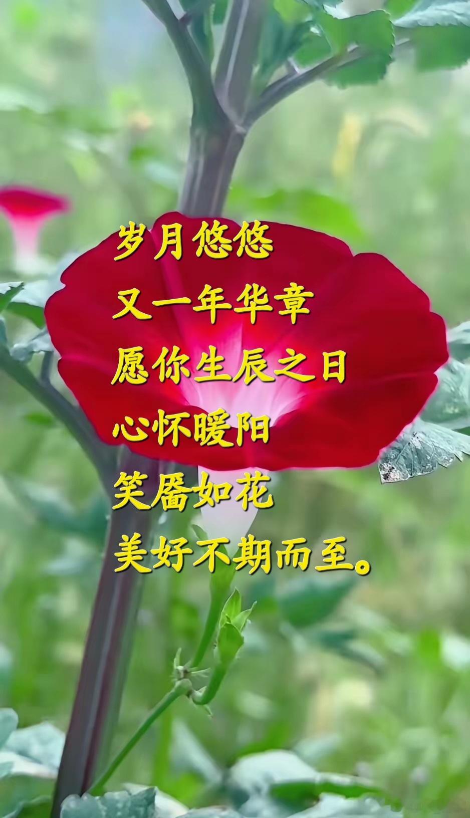 八珍汤加减治疗各种不孕症有奇效至道汇八珍汤加减治疗各种不孕症处方：当归12g
