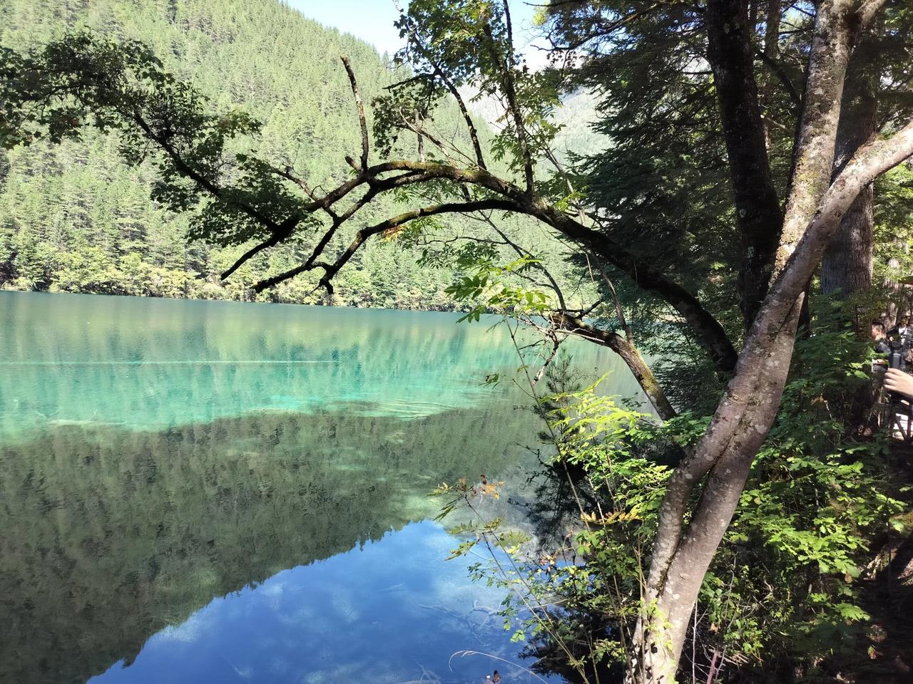 天南地北大拜年中大乐透一等奖