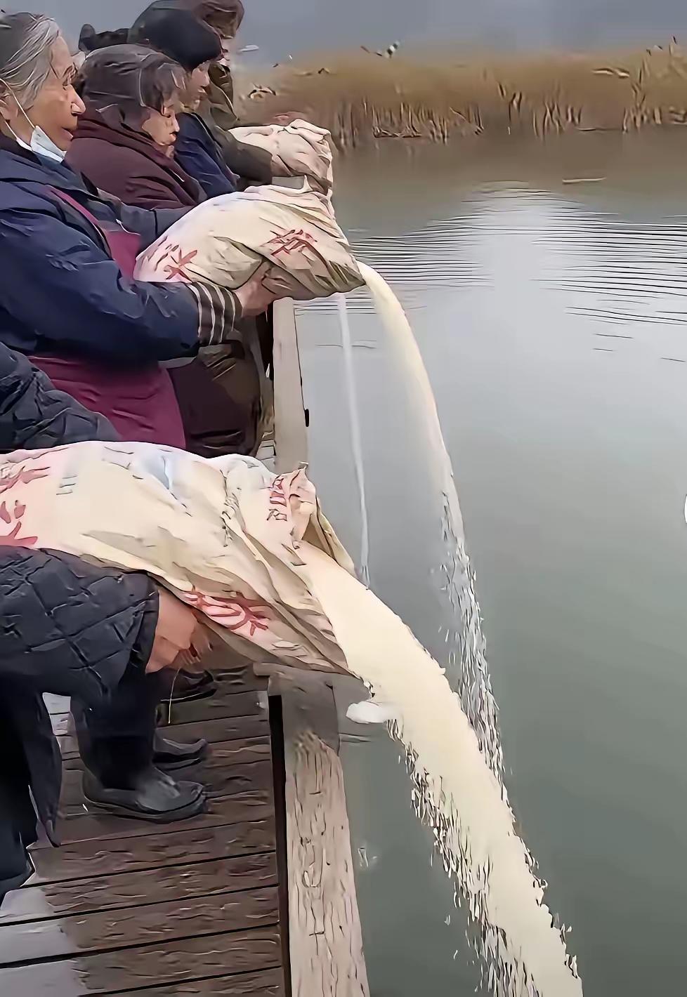 打死我都不信，这是人干的事！一袋袋好好的大米这样倒进海里，美其名曰放生大米。