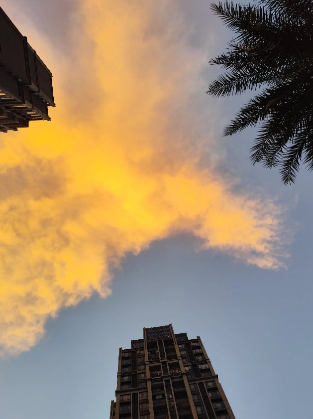 深圳停车免费你敢信？最近开车出差深圳，在福永发现一个宝藏工业园，停了一天，走的