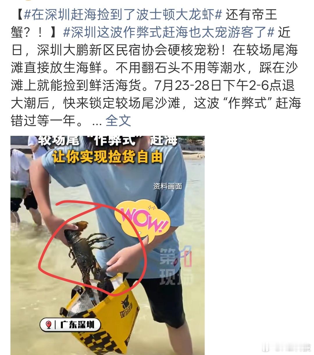 这么说吧，拿点捆绑的海鲜打饵，被钓到的是去赶海的深圳人[笑着哭][笑着哭][