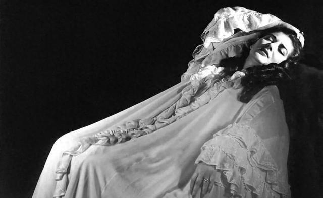 1824年，一位女裁缝为大仲马生下了私生子小仲马。18年后，小仲马疯狂爱上了一个