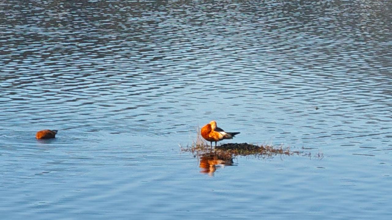 好好生活，别让自己想太多日子一天天向前走，我们也在慢慢变老。人生最实在的道